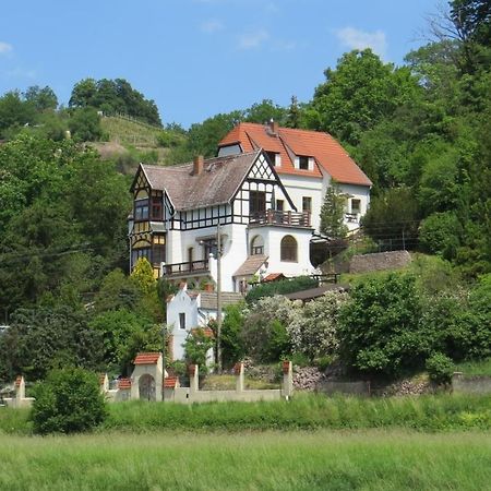 Ferienwohnung Elbsommer Am Weinberg Meissen Luaran gambar