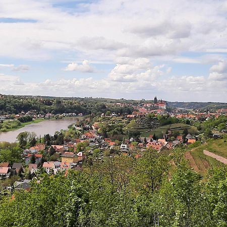 Ferienwohnung Elbsommer Am Weinberg Meissen Luaran gambar