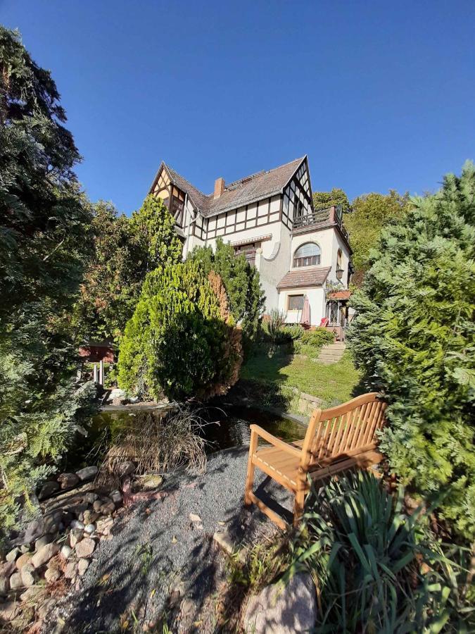 Ferienwohnung Elbsommer Am Weinberg Meissen Luaran gambar
