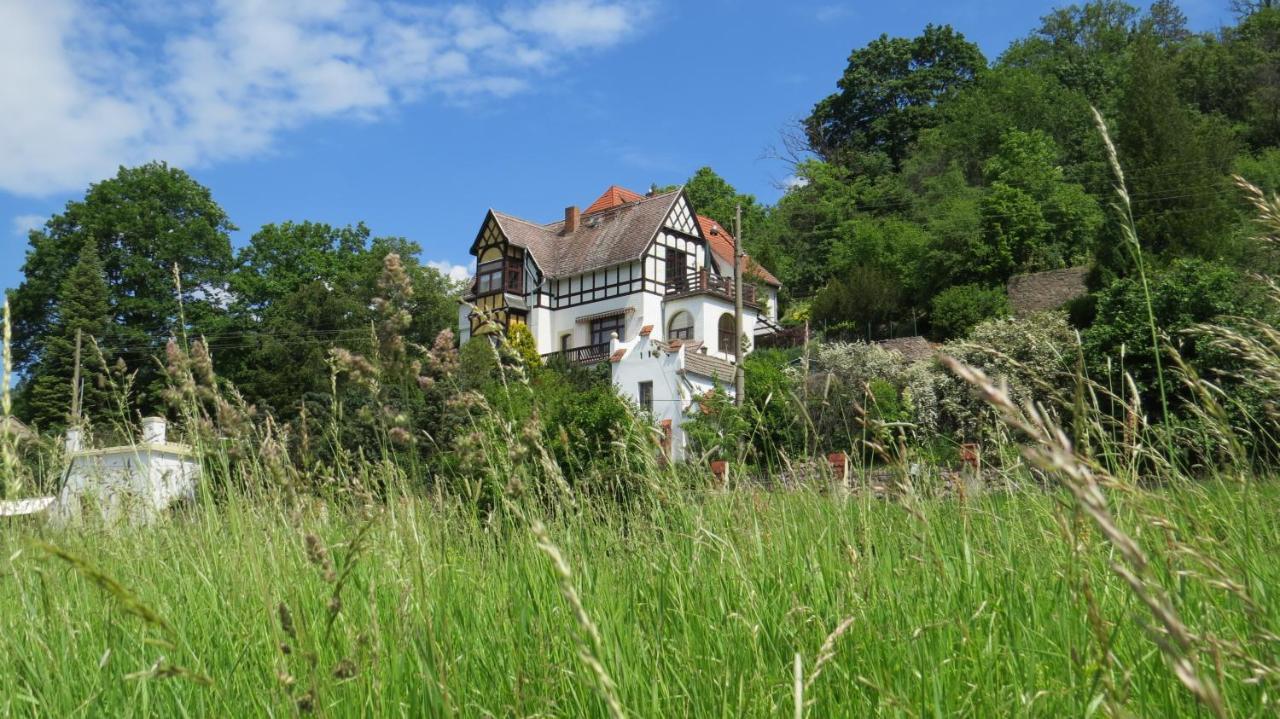 Ferienwohnung Elbsommer Am Weinberg Meissen Luaran gambar